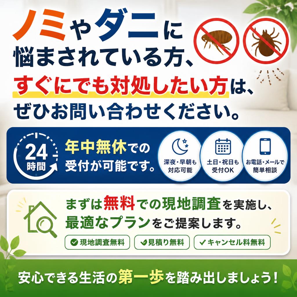 今すぐお問い合わせを！