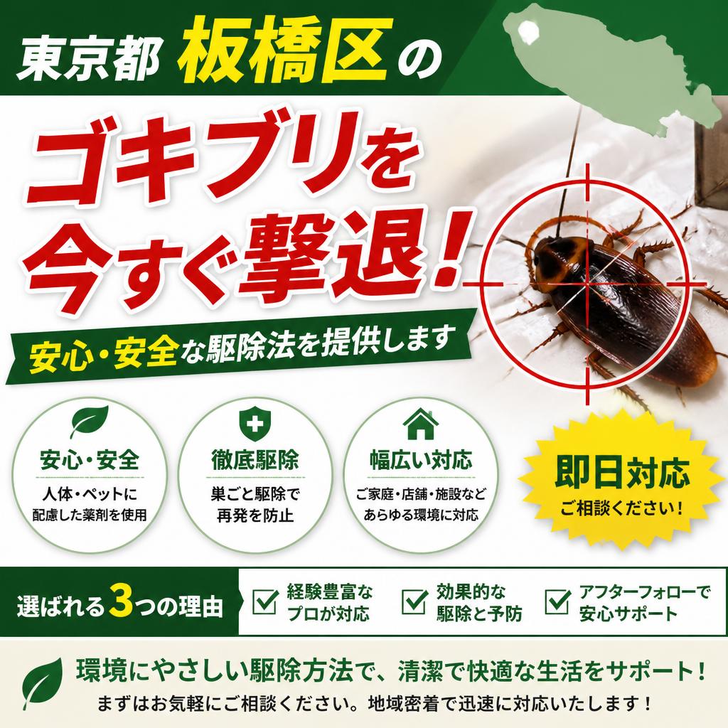 東京都板橋区のゴキブリを今すぐ撃退！安心・安全な駆除法を提供します
